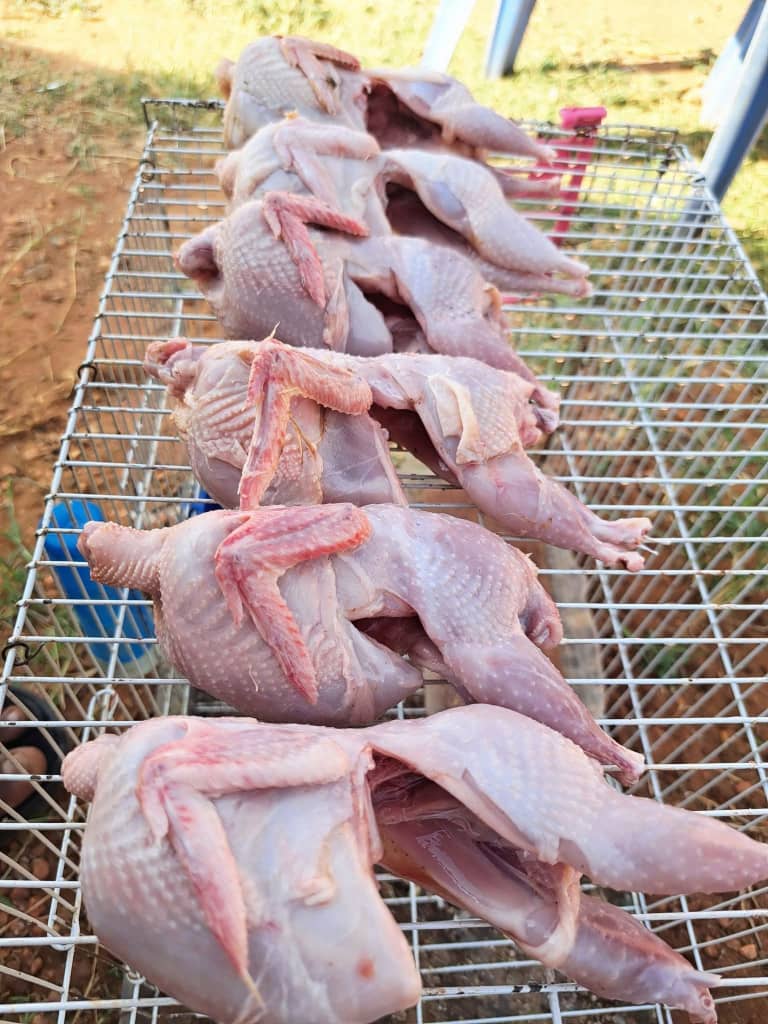 Quail meat