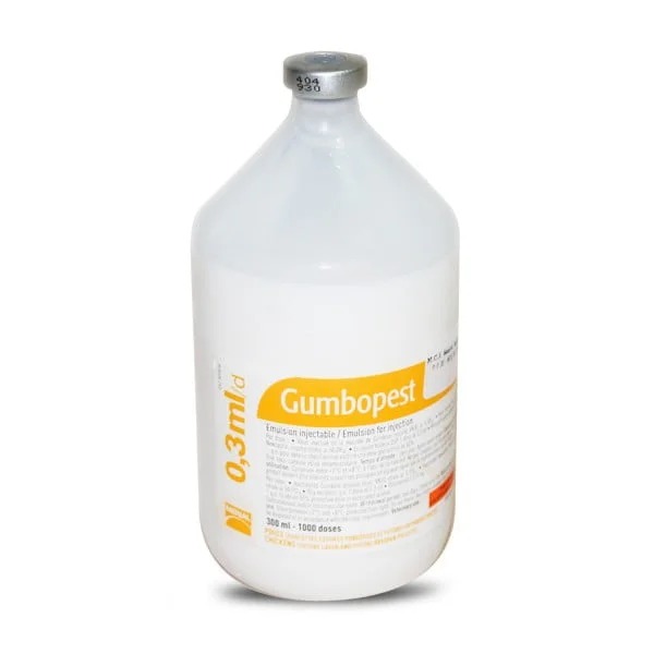 gumbopest