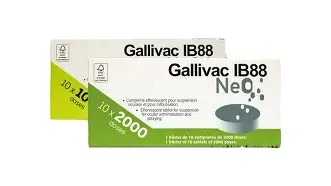 gallivac