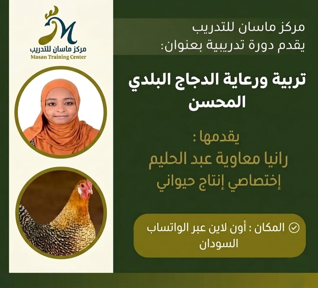 Native Chicken Production